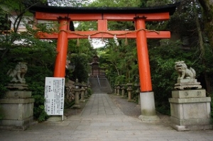 京都宇治 初詣 おすすめの神社はココ 悠々楽々